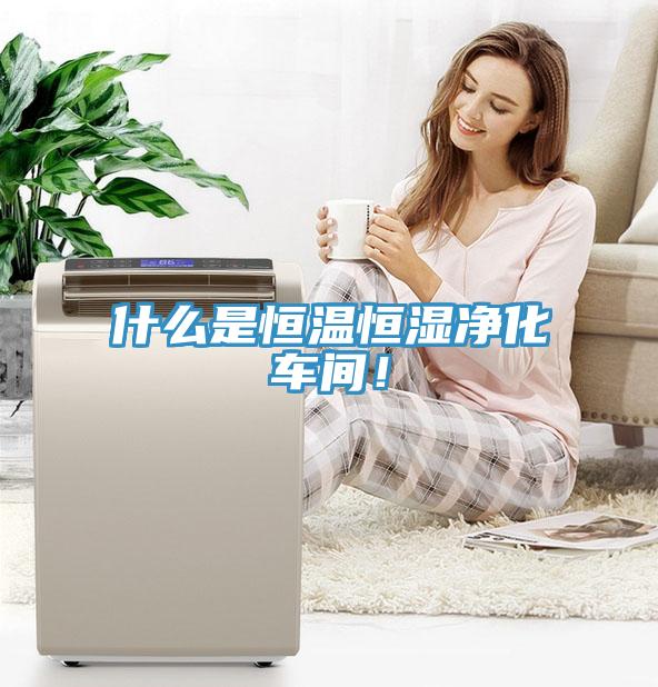 什么是恒溫恒濕凈化車間！