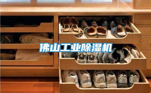 佛山工業(yè)除濕機