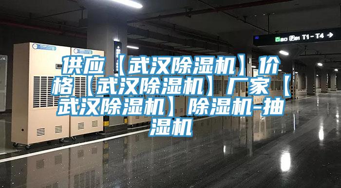 供應【武漢除濕機】價格【武漢除濕機】廠家【武漢除濕機】除濕機-抽濕機