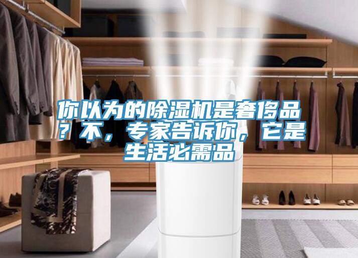 你以為的除濕機(jī)是奢侈品？不，專家告訴你，它是生活必需品