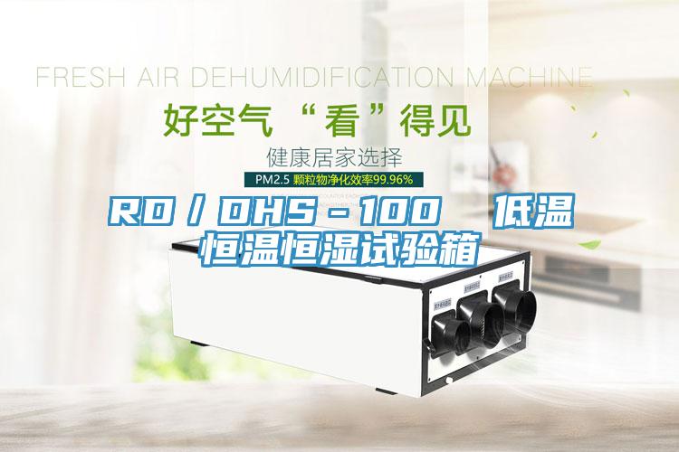 RD／DHS－100  低溫恒溫恒濕試驗(yàn)箱