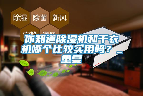 你知道除濕機(jī)和干衣機(jī)哪個比較實用嗎？_重復(fù)