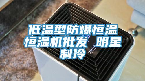 低溫型防爆恒溫恒濕機批發 明星制冷