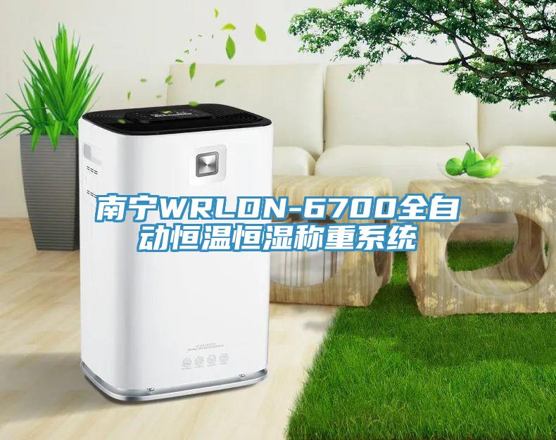 南寧WRLDN-6700全自動恒溫恒濕稱重系統
