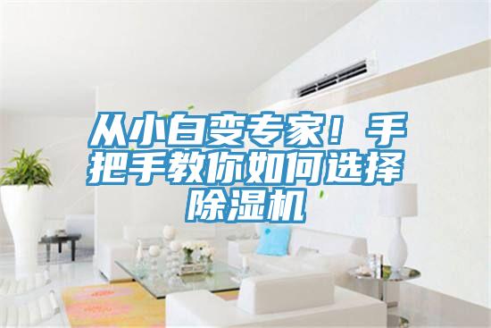 從小白變專家！手把手教你如何選擇除濕機