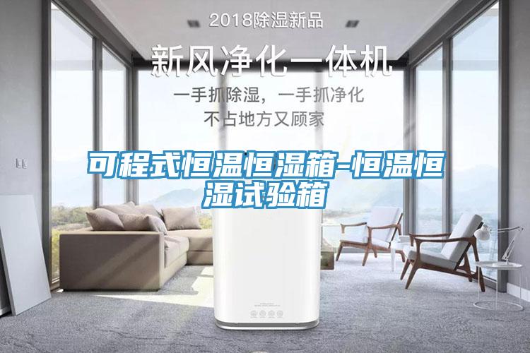 可程式恒溫恒濕箱-恒溫恒濕試驗箱
