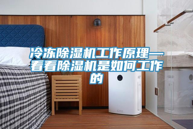 冷凍除濕機工作原理—看看除濕機是如何工作的