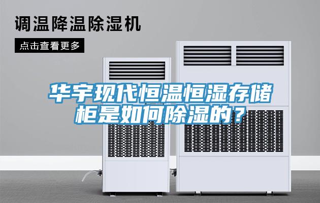華宇現代恒溫恒濕存儲柜是如何除濕的？