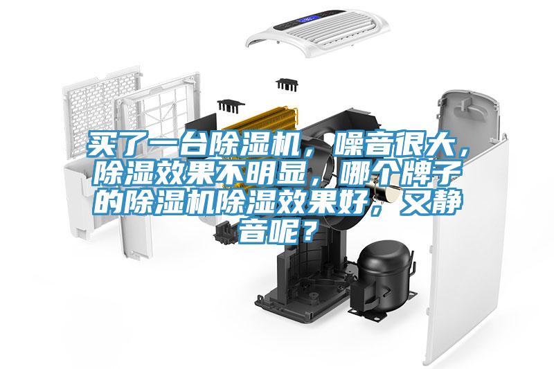 買了一臺除濕機，噪音很大，除濕效果不明顯，哪個牌子的除濕機除濕效果好，又靜音呢？