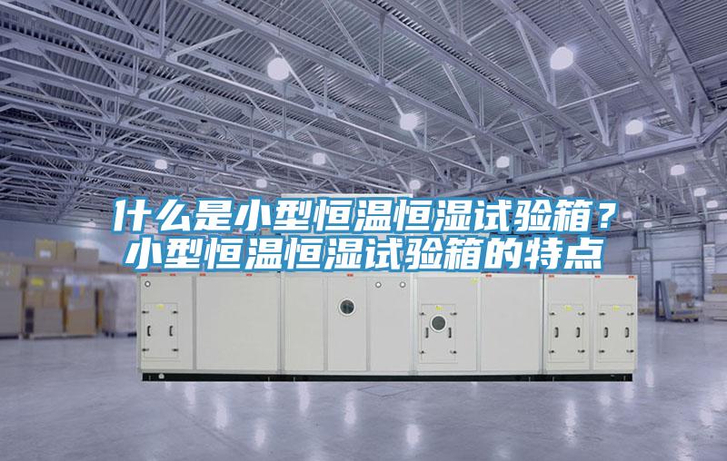 什么是小型恒溫恒濕試驗箱？小型恒溫恒濕試驗箱的特點