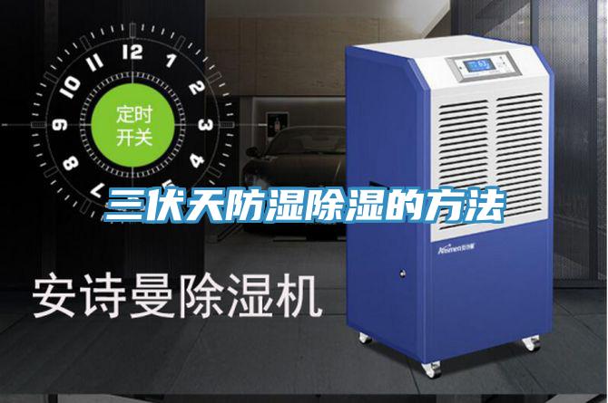 三伏天防濕除濕的方法