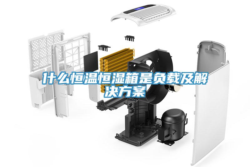 什么恒溫恒濕箱是負載及解決方案