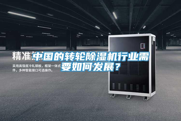 中國的轉輪除濕機行業需要如何發展？