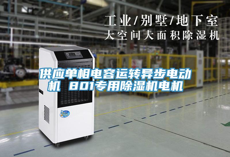 供應單相電容運轉異步電動機 801專用除濕機電機