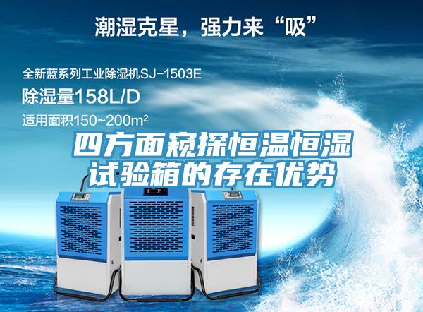 四方面窺探恒溫恒濕試驗箱的存在優勢