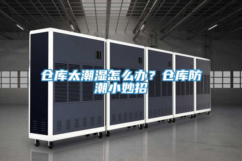 倉庫太潮濕怎么辦？倉庫防潮小妙招