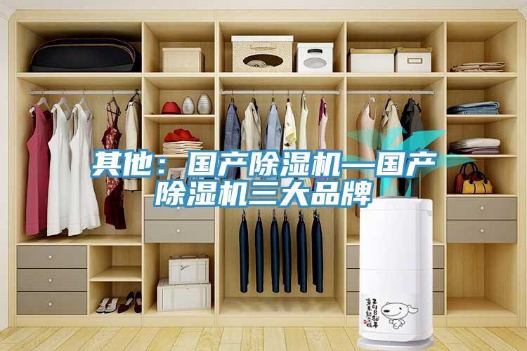 其他：國產除濕機—國產除濕機三大品牌