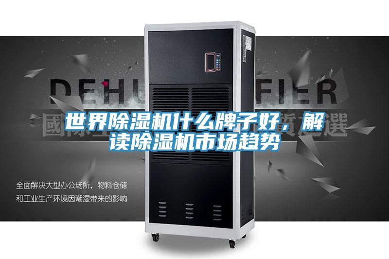 世界除濕機什么牌子好，解讀除濕機市場趨勢