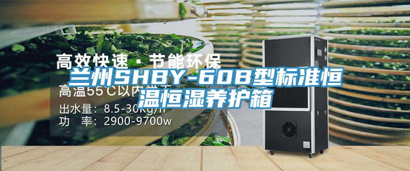 蘭州SHBY-60B型標準恒溫恒濕養(yǎng)護箱