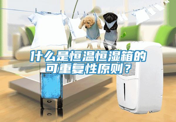 什么是恒溫恒濕箱的可重復性原則？
