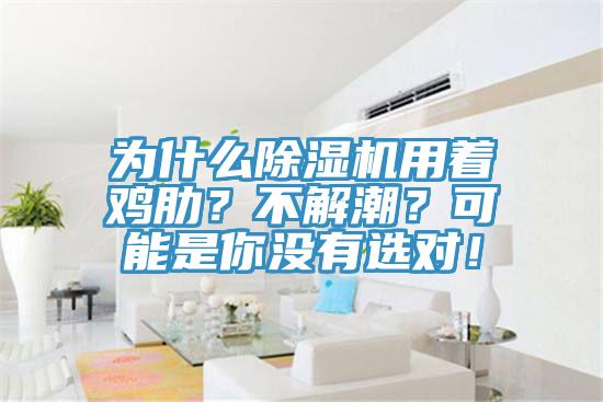為什么除濕機用著雞肋？不解潮？可能是你沒有選對！