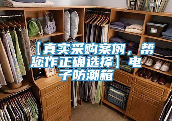 【真實采購案例，幫您作正確選擇】電子防潮箱