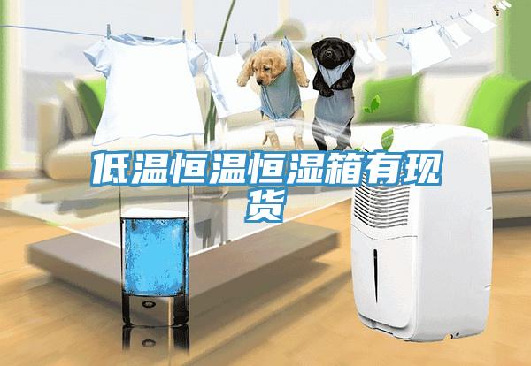 低溫恒溫恒濕箱有現貨