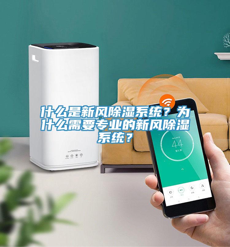 什么是新風除濕系統？為什么需要專業的新風除濕系統？