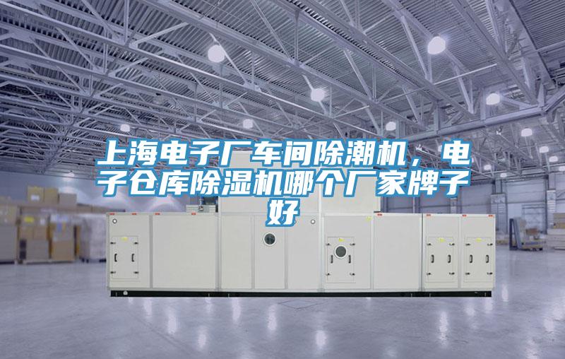 上海電子廠車間除潮機(jī)，電子倉(cāng)庫(kù)除濕機(jī)哪個(gè)廠家牌子好
