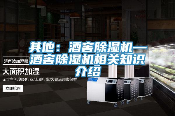 其他：酒窖除濕機—酒窖除濕機相關知識介紹