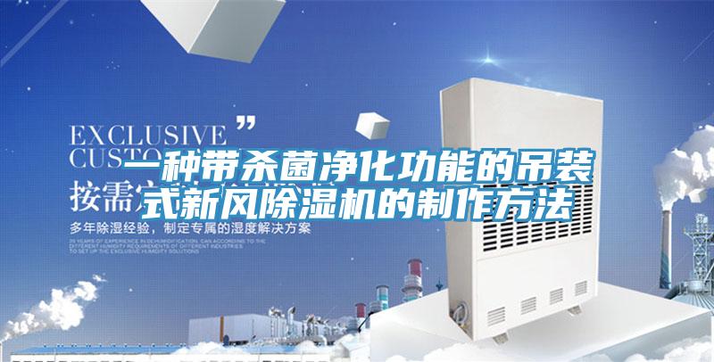 一種帶殺菌凈化功能的吊裝式新風除濕機的制作方法