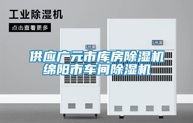 供應廣元市庫房除濕機綿陽市車間除濕機