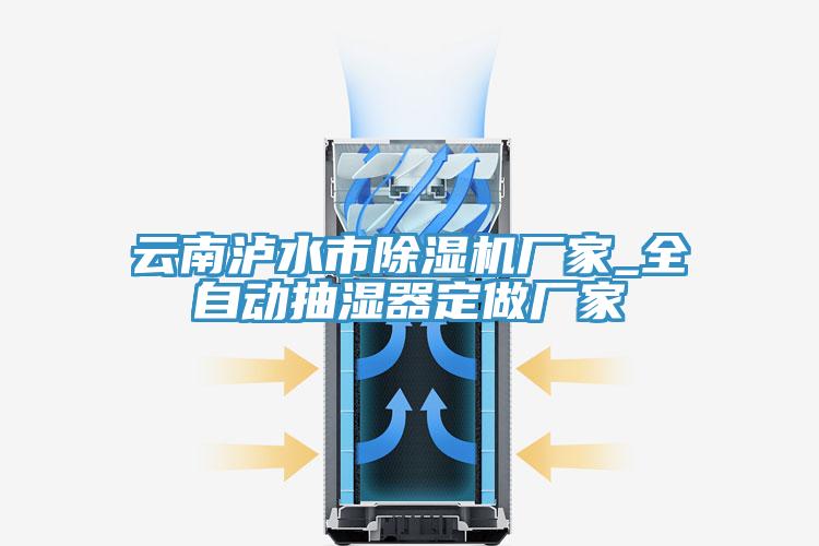 云南瀘水市除濕機(jī)廠家_全自動(dòng)抽濕器定做廠家