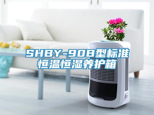 SHBY-90B型標準恒溫恒濕養護箱