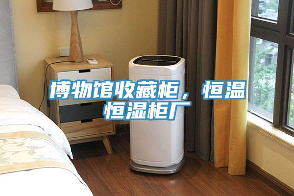博物館收藏柜，恒溫恒濕柜廠