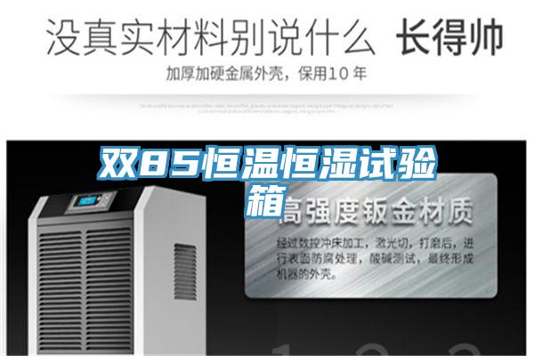 雙85恒溫恒濕試驗(yàn)箱