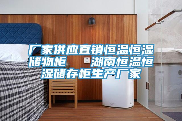 廠家供應直銷恒溫恒濕儲物柜   湖南恒溫恒濕儲存柜生產廠家