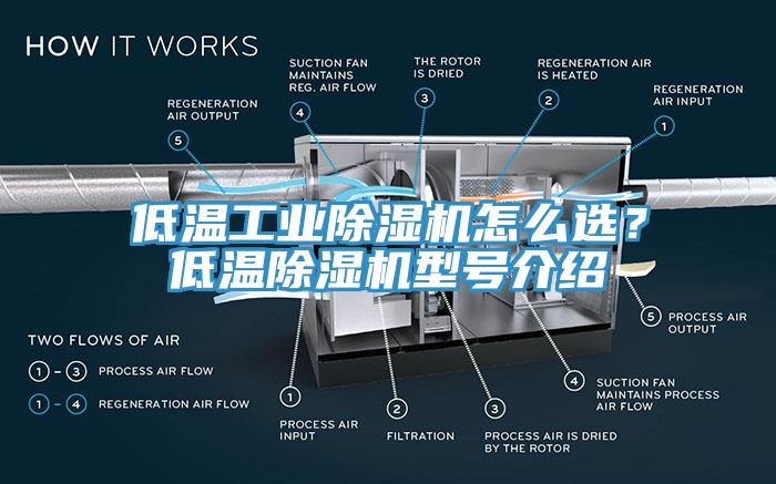 低溫工業除濕機怎么選？低溫除濕機型號介紹