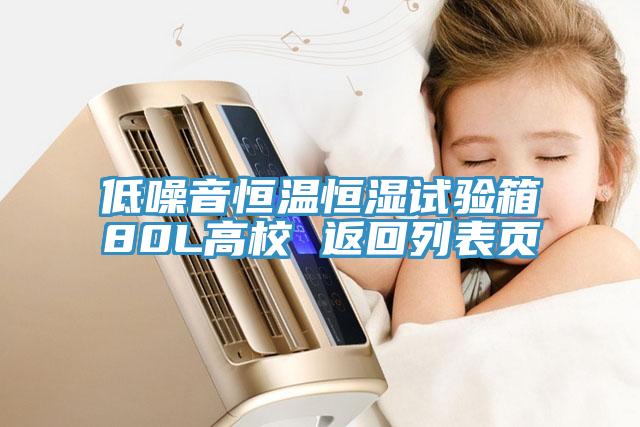 低噪音恒溫恒濕試驗箱80L高校 返回列表頁