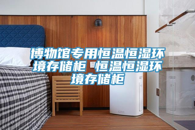 博物館專用恒溫恒濕環境存儲柜 恒溫恒濕環境存儲柜