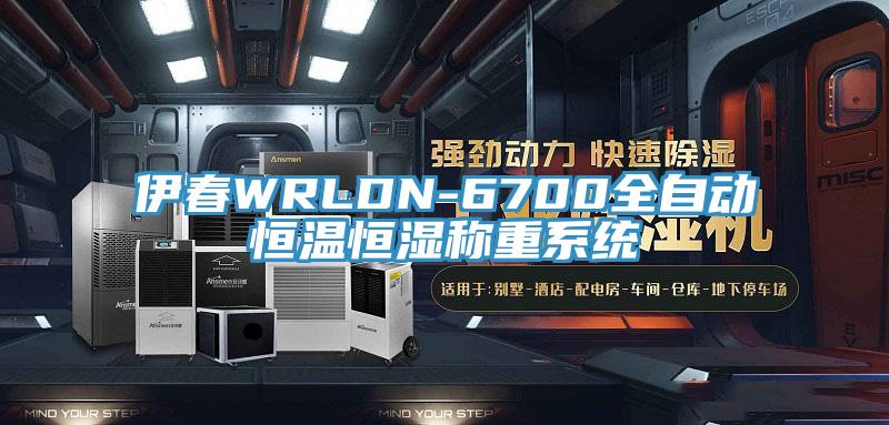 伊春WRLDN-6700全自動(dòng)恒溫恒濕稱重系統(tǒng)