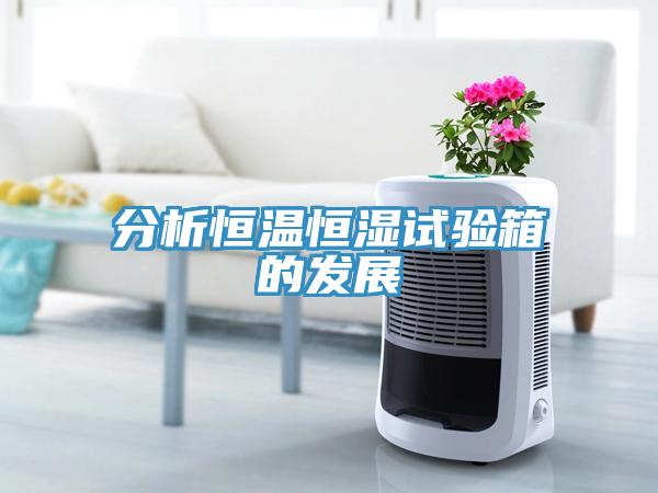 分析恒溫恒濕試驗箱的發展