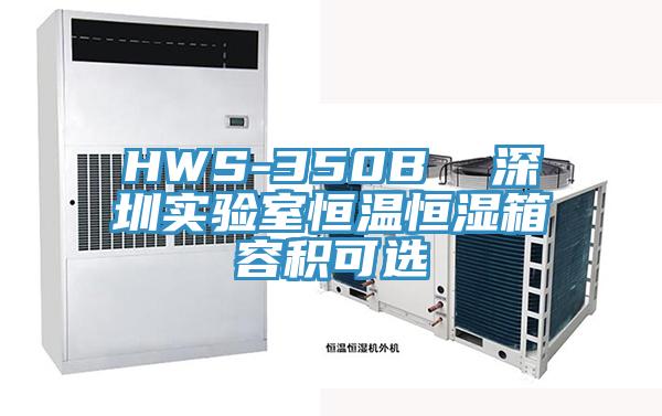 HWS-350B  深圳實驗室恒溫恒濕箱容積可選