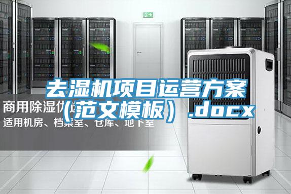 去濕機(jī)項目運營方案（范文模板）.docx