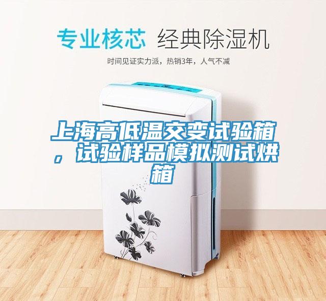 上海高低溫交變試驗箱,試驗樣品模擬測試烘箱