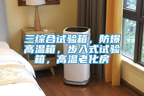 三綜合試驗箱,防爆高溫箱,步入式試驗箱,高溫老化房