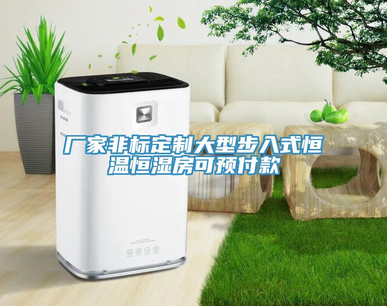 廠家非標定制大型步入式恒溫恒濕房可預付款