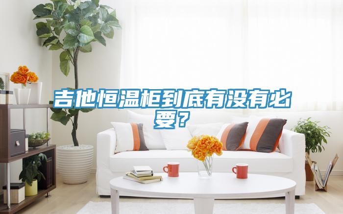 吉他恒溫柜到底有沒有必要？