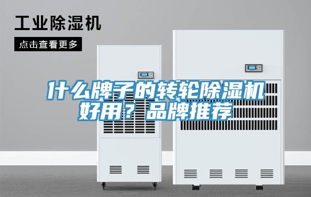 什么牌子的轉輪除濕機好用？品牌推薦