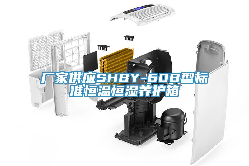 廠家供應SHBY-60B型標準恒溫恒濕養護箱